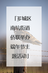 芗城区南坑街道侨联举办端午节主题活动