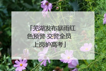 芜湖发布暴雨红色预警 交警全员上岗护高考