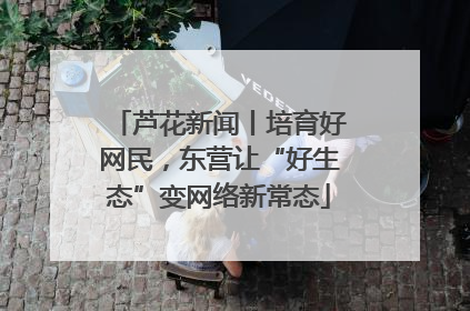 芦花新闻丨培育好网民，东营让“好生态”变网络新常态