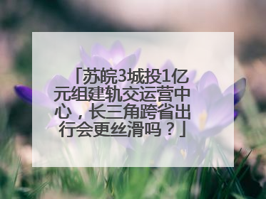 苏皖3城投1亿元组建轨交运营中心，长三角跨省出行会更丝滑吗？