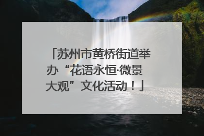 苏州市黄桥街道举办“花语永恒·微景大观”文化活动！