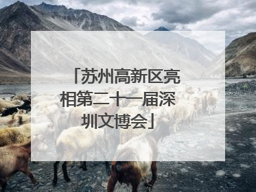 苏州高新区亮相第二十一届深圳文博会