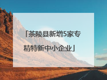 茶陵县新增5家专精特新中小企业