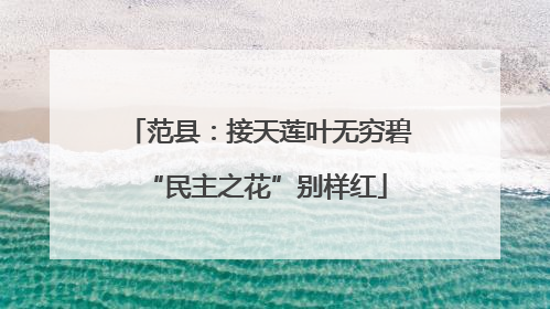 范县：接天莲叶无穷碧 “民主之花”别样红