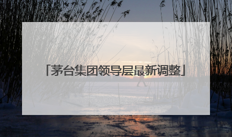 茅台集团领导层最新调整