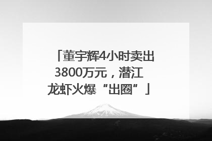 董宇辉4小时卖出3800万元，潜江龙虾火爆“出圈”