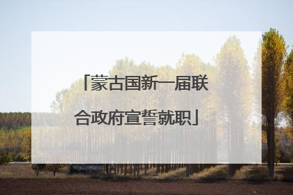 蒙古国新一届联合政府宣誓就职