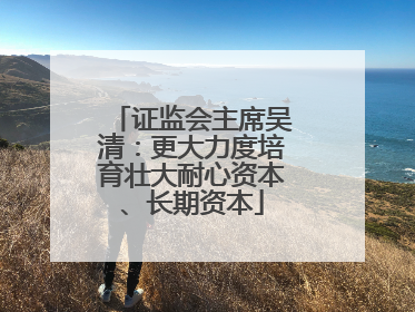 证监会主席吴清：更大力度培育壮大耐心资本、长期资本