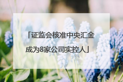 证监会核准中央汇金成为8家公司实控人