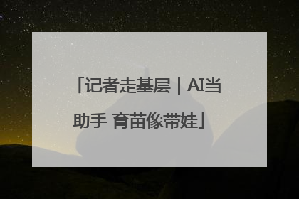 记者走基层｜AI当助手 育苗像带娃