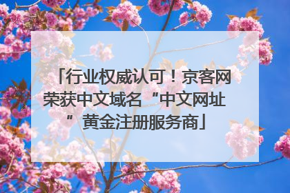 行业权威认可！京客网荣获中文域名“中文网址”黄金注册服务商