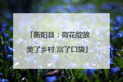 衡阳县：荷花绽放 美了乡村 富了口袋