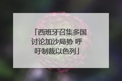 西班牙召集多国讨论加沙局势 呼吁制裁以色列
