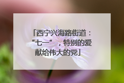 西宁兴海路街道：“七一”，特别的爱献给伟大的党