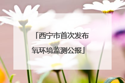 西宁市首次发布氧环境监测公报