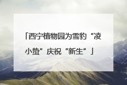 西宁植物园为雪豹“凌小蛰”庆祝“新生”