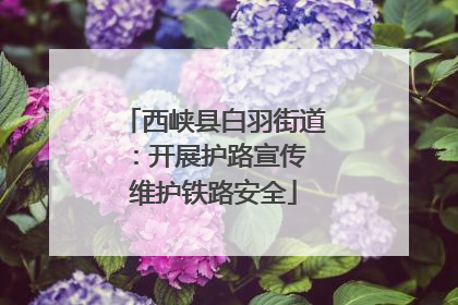 西峡县白羽街道：开展护路宣传 维护铁路安全