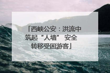 西峡公安：洪流中筑起“人墙” 安全转移受困游客