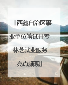 西藏自治区事业单位笔试开考 林芝就业服务亮点频现