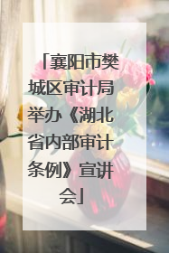襄阳市樊城区审计局举办《湖北省内部审计条例》宣讲会