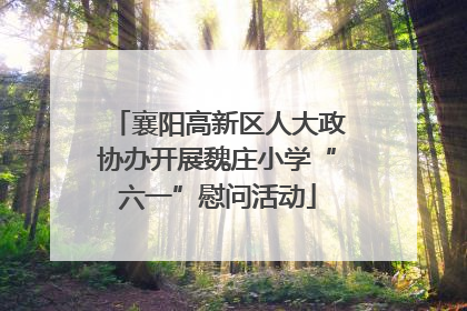 襄阳高新区人大政协办开展魏庄小学“六一”慰问活动