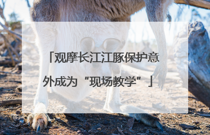 观摩长江江豚保护意外成为“现场教学”