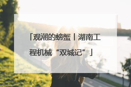 观潮的螃蟹丨湖南工程机械“双城记”