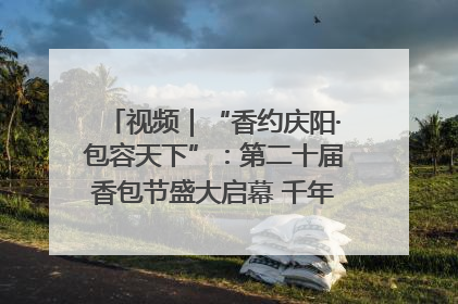 视频｜“香约庆阳·包容天下”：第二十届香包节盛大启幕 千年非遗香飘世界