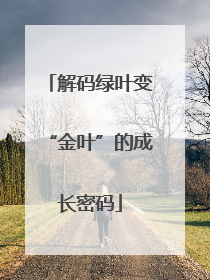 解码绿叶变“金叶”的成长密码