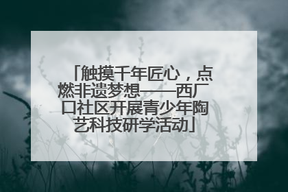 触摸千年匠心，点燃非遗梦想——西厂口社区开展青少年陶艺科技研学活动
