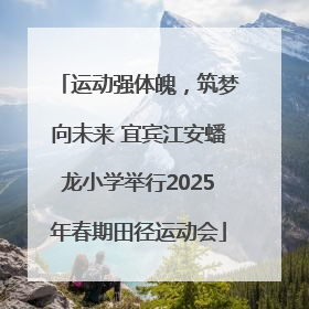 运动强体魄，筑梦向未来 宜宾江安蟠龙小学举行2025年春期田径运动会