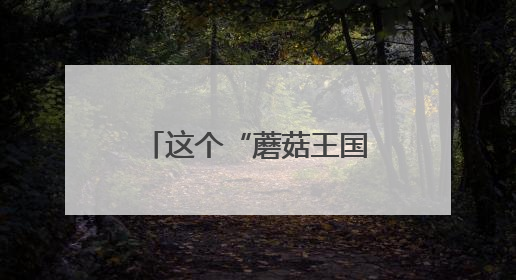 这个“蘑菇王国”已发现1000多种大“菌子”