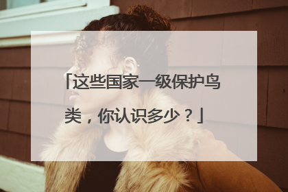 这些国家一级保护鸟类，你认识多少？