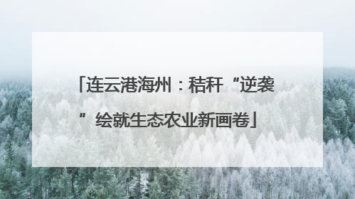 连云港海州：秸秆“逆袭”绘就生态农业新画卷