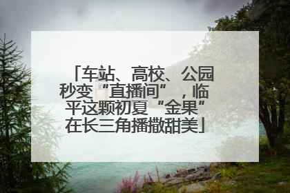 车站、高校、公园秒变“直播间”，临平这颗初夏“金果”在长三角播撒甜美
