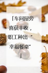 车间屋旁喜获丰收，职工种出“幸福餐桌”