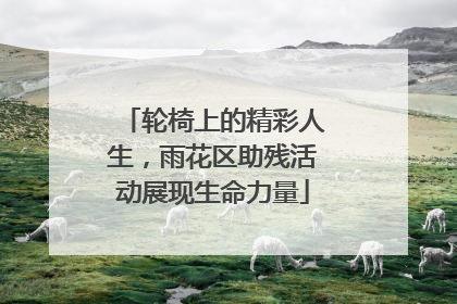 轮椅上的精彩人生，雨花区助残活动展现生命力量