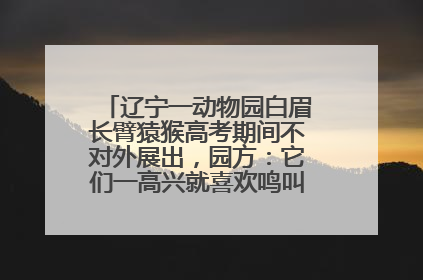 辽宁一动物园白眉长臂猿猴高考期间不对外展出，园方：它们一高兴就喜欢鸣叫，怕影响考试