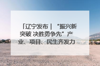 辽宁发布｜“振兴新突破 决胜勇争先”产业、项目、民生齐发力 葫芦岛按下决胜之年“加速键”