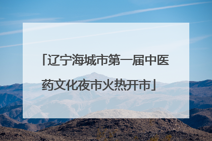 辽宁海城市第一届中医药文化夜市火热开市