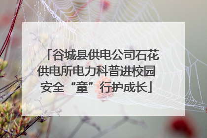 谷城县供电公司石花供电所电力科普进校园安全“童”行护成长
