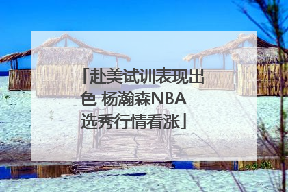 赴美试训表现出色 杨瀚森NBA选秀行情看涨