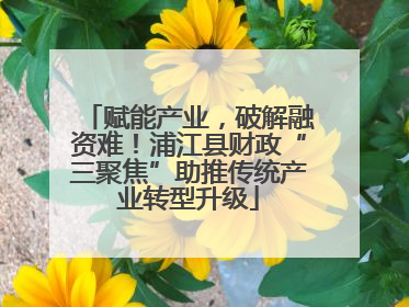 赋能产业，破解融资难！浦江县财政“三聚焦”助推传统产业转型升级