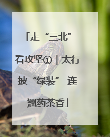 走“三北” 看攻坚①｜太行披“绿装” 连翘药茶香