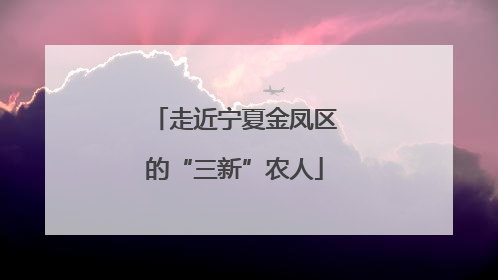 走近宁夏金凤区的“三新”农人