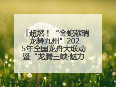 超燃！“金蛇献瑞 龙舞九州”2025年全国龙舟大联动暨“龙腾三峡·魅力巫山”龙舟邀请赛圆满落幕！