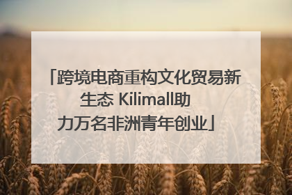 跨境电商重构文化贸易新生态 Kilimall助力万名非洲青年创业