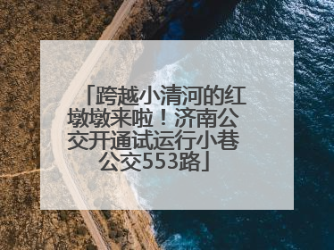 跨越小清河的红墩墩来啦！济南公交开通试运行小巷公交553路