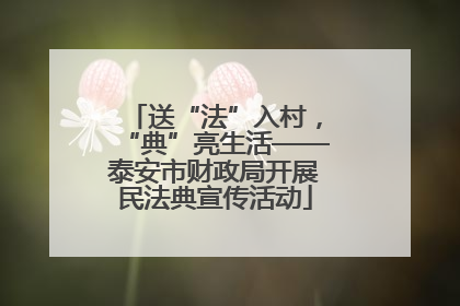 送“法”入村，“典”亮生活——泰安市财政局开展民法典宣传活动