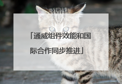通威组件效能和国际合作同步推进